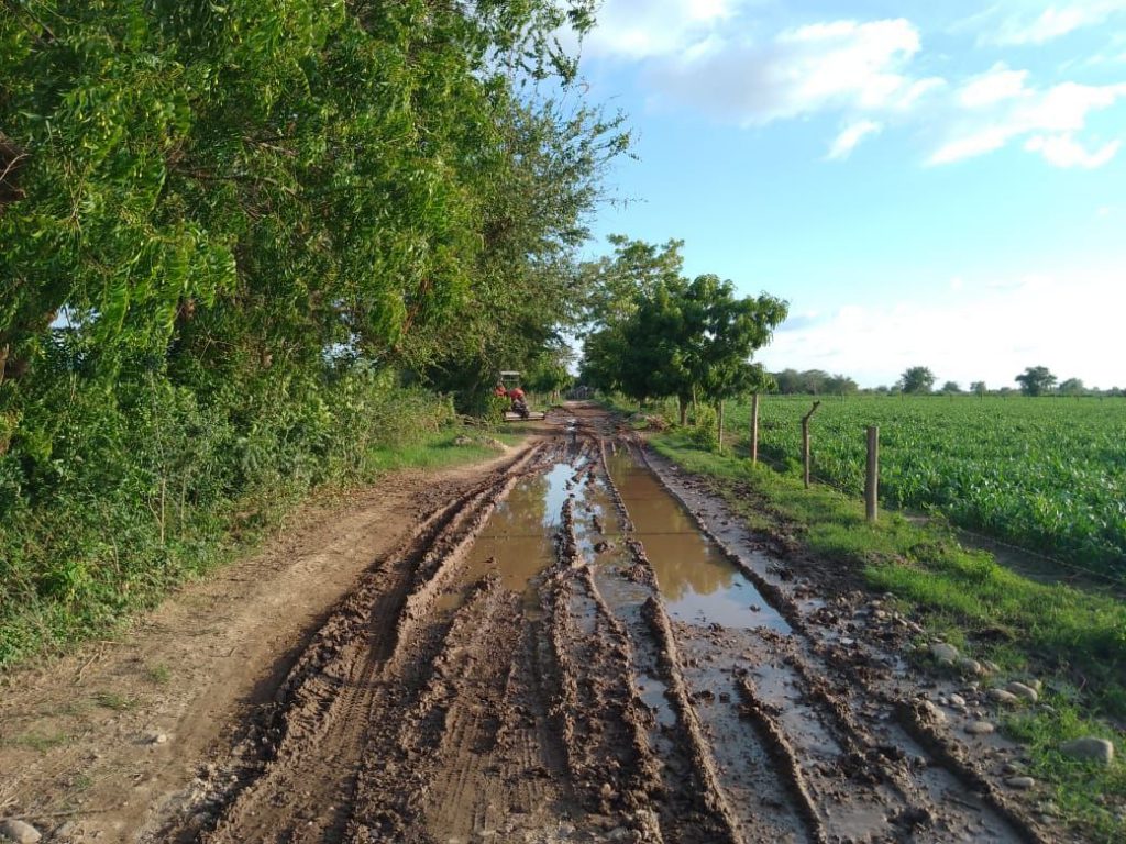 Rehabilitan Camino Hacia El Pante N De El Tamarindo En Rosamorada Nayarit